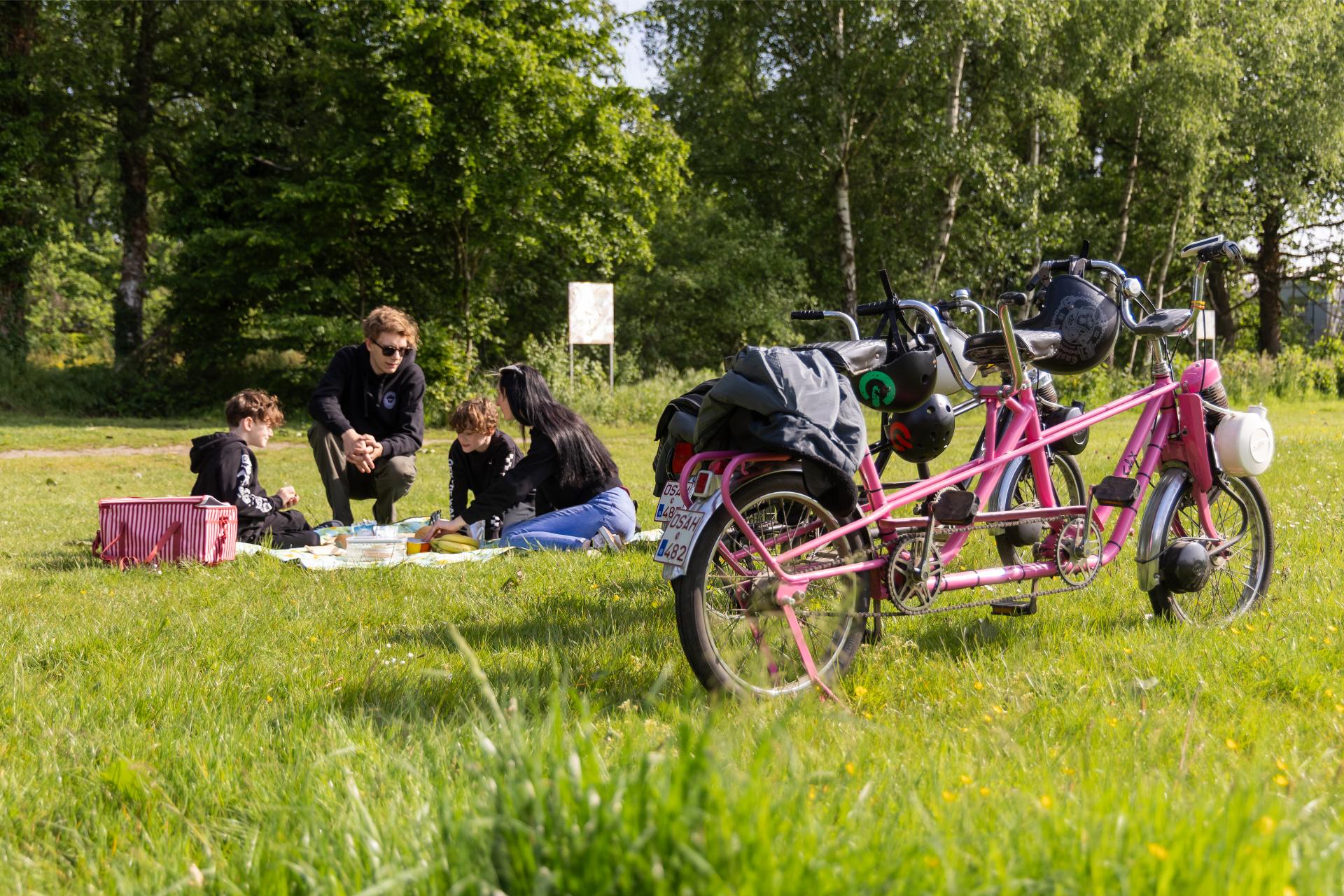 Picknick Na Solexrit