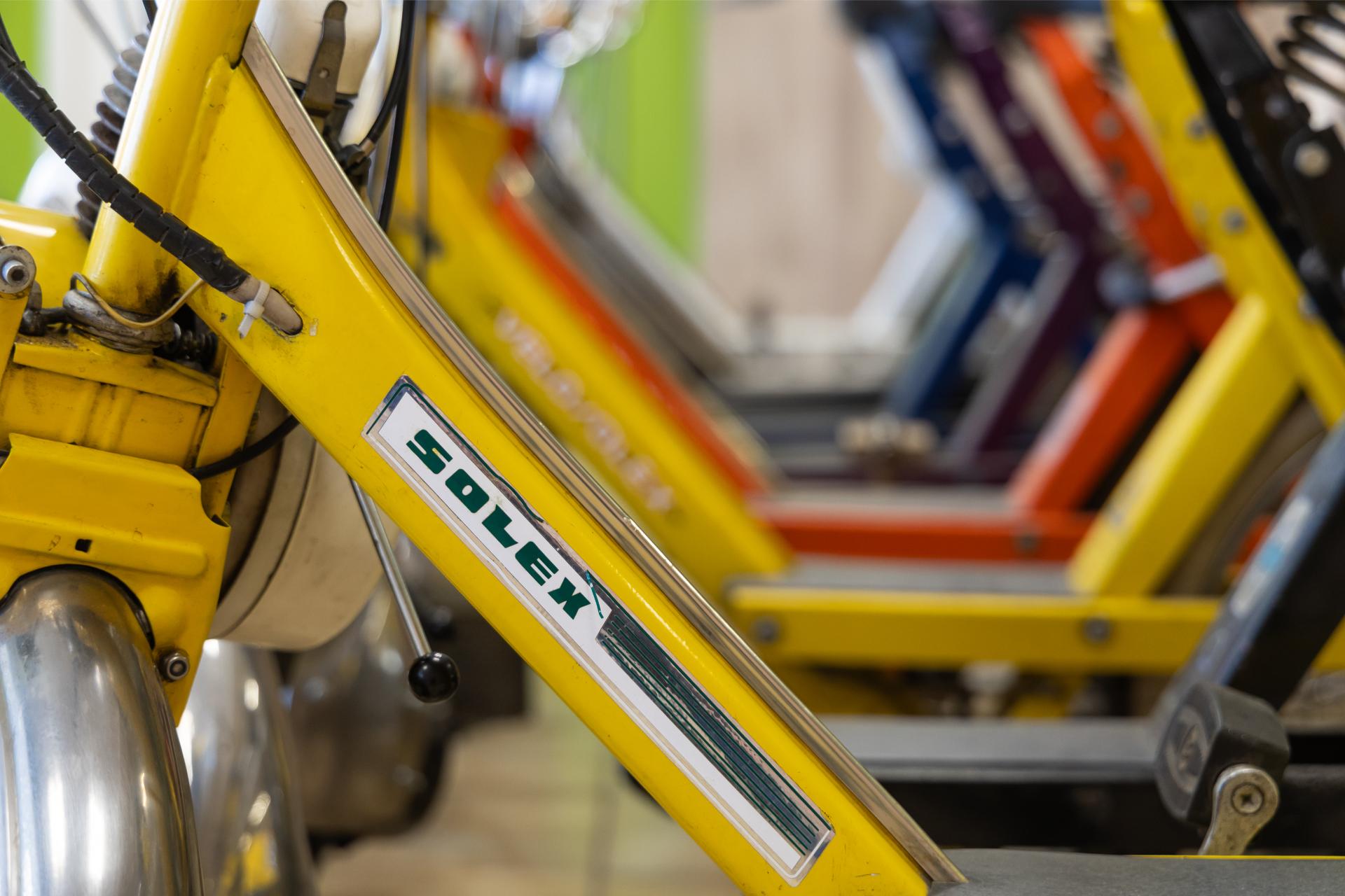 Solex Geel Closeup